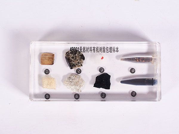 天然材料标本（包埋）