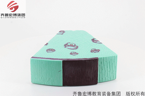 单子叶模型