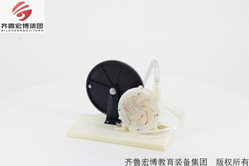 离心水泵